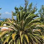 Âncora Boutique Apartments